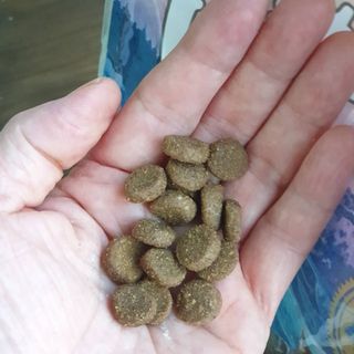 보리엄마님이 올린 리뷰 사진 3