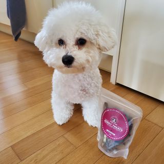 투브로님이 올린 리뷰 사진 1