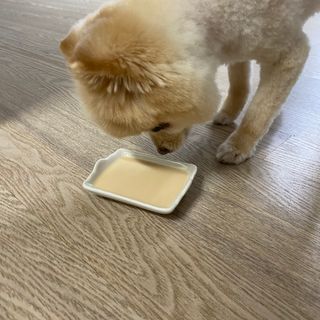 세지니힛님이 올린 리뷰 사진 3