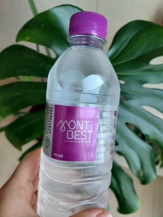 몽베스트 [MONTBEST]위드어스 500mL 20병 — 5점을 준 리뷰어가 2024년 3월 올린 사용 사진