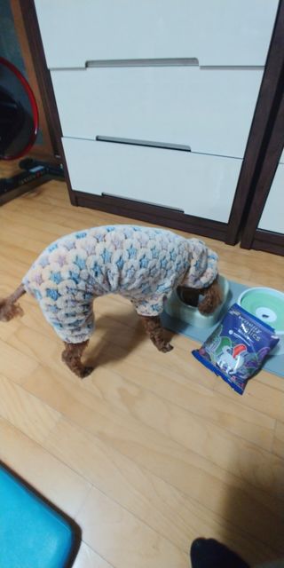너구리양님이 올린 리뷰 사진 2