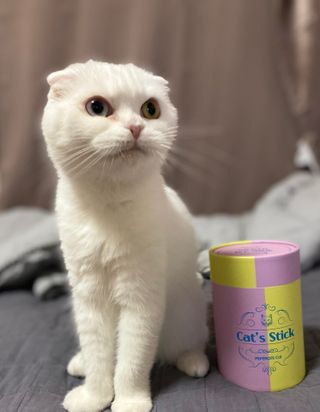 화이집사님이 올린 리뷰 사진 3