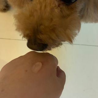 코끼리님이 올린 리뷰 사진 2