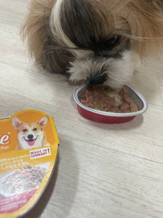 라라통통님이 올린 리뷰 사진 1