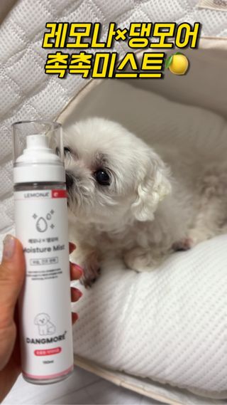 망아진가봄님이 올린 리뷰 사진 2