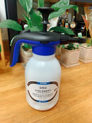 이첼님이 올린 리뷰 사진 4