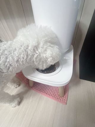 만두누나님이 올린 리뷰 사진 2