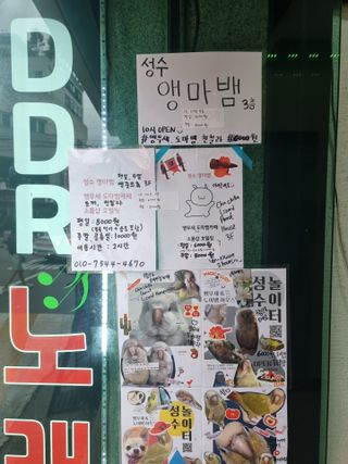 Lucy님이 올린 리뷰 사진 3