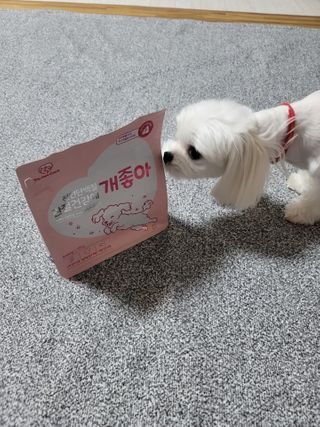 My Pet Care 천연단백질 관절건강에 개좋아 — 4점을 준 리뷰어가 2021년 2월 올린 사용 사진