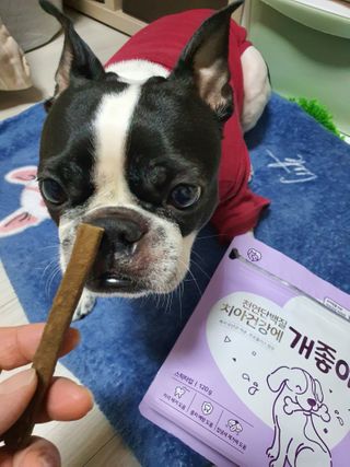 My Pet Care 천연단백질 치아건강에 개좋아 — 5점을 준 리뷰어가 2021년 2월 올린 사용 사진