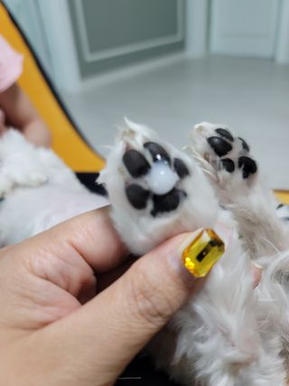 뽀블리님이 올린 리뷰 사진 2