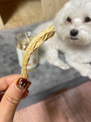 [펫시밀] 원물그대로 강원도 인제군 용대리 무염황태채 60g 강아지 고양이 프리미엄 수제간식 — 5점을 준 리뷰어가 2023년 11월 올린 사용 사진