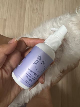 chloe님이 올린 리뷰 사진 1