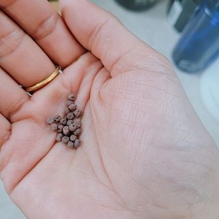 퓨리아님이 올린 리뷰 사진 4