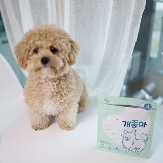 My Pet Care 천연단백질 눈건강에 개좋아 — 5점을 준 리뷰어가 2021년 3월 올린 사용 사진