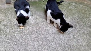 리지님이 올린 리뷰 사진 4