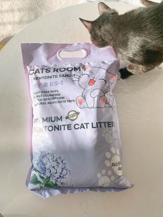 겟플렉스 켓플렉스 캣츠룸BS-1 고양이모래 4kg — 5점을 준 리뷰어가 2021년 1월 올린 사용 사진