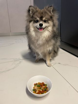 찌니님이 올린 리뷰 사진 4