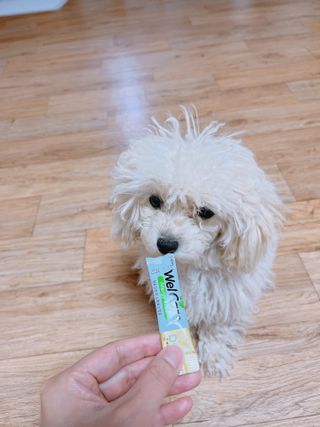 유타미양님이 올린 리뷰 사진 3