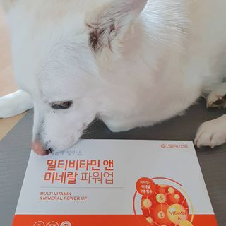 딸랑구둘🥰님이 올린 리뷰 사진 1