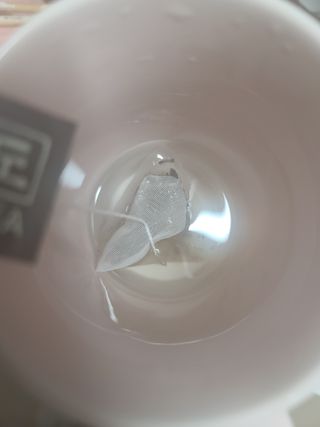 커피보고왔엄님이 올린 리뷰 사진 4