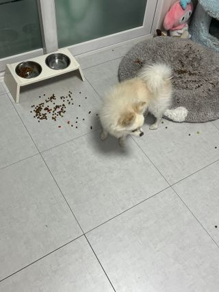여름님이 올린 리뷰 사진 2