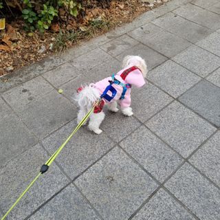 youngran님이 올린 리뷰 사진 1