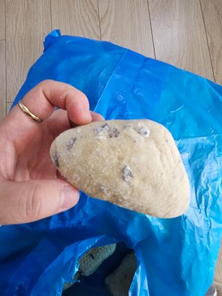 정가람님이 올린 리뷰 사진 1