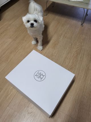 뽀오오옹님이 올린 리뷰 사진 1