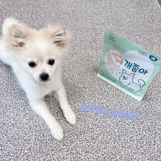 My Pet Care 천연단백질 눈건강에 개좋아 — 5점을 준 리뷰어가 2021년 3월 올린 사용 사진