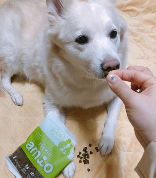 bori0924님이 올린 리뷰 사진 4