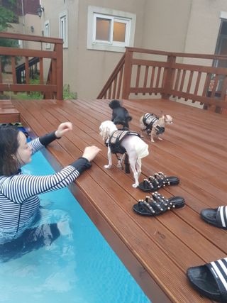 둥스님이 올린 리뷰 사진 2