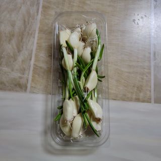 먹찌님이 올린 리뷰 사진 2