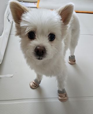 Lily님이 올린 리뷰 사진 1