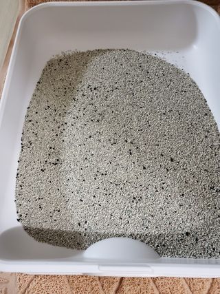 겟플렉스 켓플렉스 캣츠룸BS-1 고양이모래 4kg — 5점을 준 리뷰어가 2021년 1월 올린 사용 사진