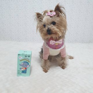 솜희님이 올린 리뷰 사진 3