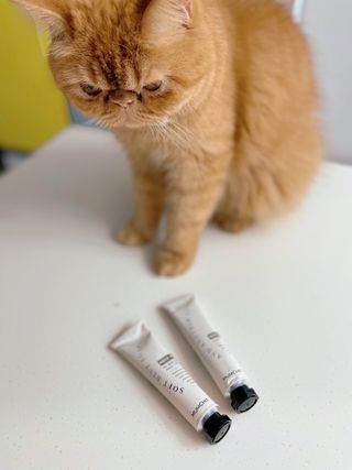 멈칫(MUMCHIT) 넥퍼퓸 NECKPERFUME 2가지 향 — 4점을 준 리뷰어가 2021년 11월 올린 사용 사진