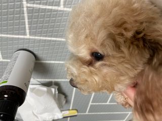 숙블리님이 올린 리뷰 사진 4