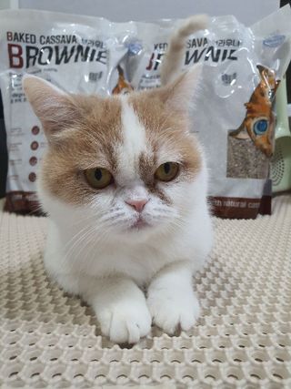 으나님이 올린 리뷰 사진 4