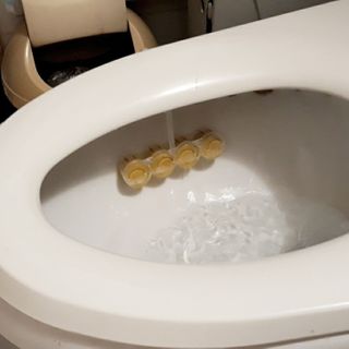 비오맘님이 올린 리뷰 사진 1