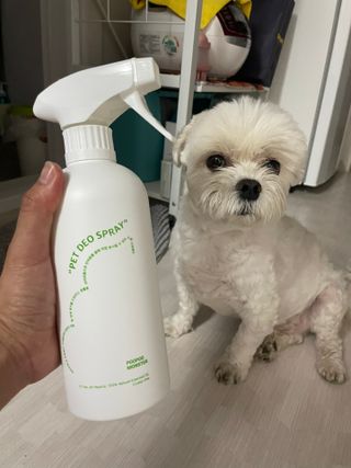 권쁜님이 올린 리뷰 사진 3