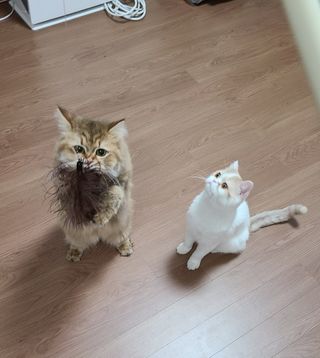 으나님이 올린 리뷰 사진 3