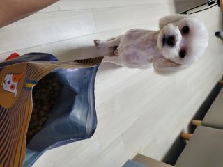 정꾸꾸님이 올린 리뷰 사진 1