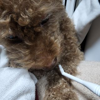 제이드님이 올린 리뷰 사진 1