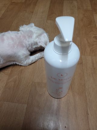 프리[닥터문] 유산균 락토케어 질경초 여성청결제 1000ml (젤타입) — 5점을 준 리뷰어가 2022년 6월 올린 사용 사진