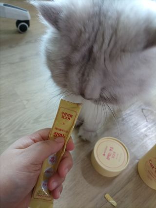 페페로니 잘 먹는 캣츄 - 무항생제 닭고기 24개입 — 5점을 준 리뷰어가 2021년 7월 올린 사용 사진
