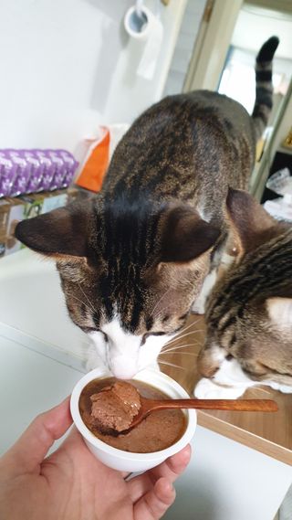 둘둘이님이 올린 리뷰 사진 2