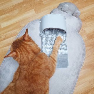 안젤라mj님이 올린 리뷰 사진 1