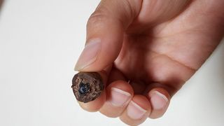 더빈트 딜라이트 브이 초콜릿 4종 — 5점을 준 리뷰어가 2023년 7월 올린 사용 사진