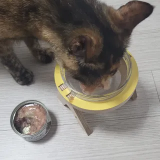 JENNY님이 올린 리뷰 사진 4
